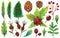 Watercolor set of Christmas plants. Hand-drawn festive botanical elements isolated on white background. Forest cliparts