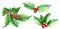 Watercolor set, collection of Christmas holly leaves. green leaves and red holly berries isolated on white background, christmas c