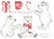 Watercolor set with cute arctic polar bears, gift, lollipop, mug, christmas animals