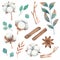 Watercolor set of floral elements from flowers of cotton, twigs and spices of cinnamon, anise. Watercolor elements isolated on a w