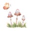 Watercolor set of forest elements: watercolor mushrooms, grass, butterfly, clip art