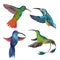 Watercolor set of four colibri.