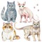 Watercolor set with four different breeds of cats