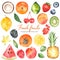Watercolor set with fruits papaya, mandarin, lemon, watermelon, blueberries, coconut
