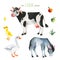 Watercolor set with funny animals-goose, gosling,donkey,cow