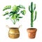 Watercolor set with home plants and pots. Monstera and straw basket cactus and clay pot.