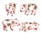 Watercolor Set of Micro Pigs