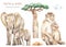 Watercolor set mom and baby Africa elephants, monkeys, baobab, cloud, dry grass