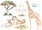 Watercolor set mom and baby Africa leopards, giraffes, dried flowers, clouds