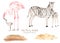 Watercolor set mom and baby Africa zebras, flamingos, meadow of dry grass