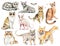 Watercolor set with nine different breeds of cats