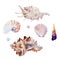 Watercolor set ocean, sea: different shells, pearls