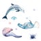 Watercolor set ocean, sea: dolphin, moray, sea urchin, jellyfish, stingray, pearl