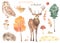 Watercolor set with owl, deer, hedgehog, pine tree, autumn tree, mushrooms, meadow autumn, grass, berries