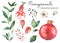 Watercolor set with pomegranate, flower, garanate leaves, flower buds