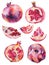 Watercolor set of pomegranates on white background.