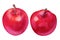 Watercolor set red apples on white background. Handrawing illustration