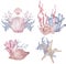 Watercolor set of sealife arrangements with seashells, seaweed, starfish. Marine illustrations