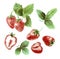 Watercolor set strawberry drawing. Strawberry on a white background. Vector illustration