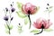 Watercolor set with transparent flowers. vintage hand drawing with pink wild roses and purple wildflowers on a white background. d