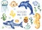 Watercolor set with underwater creatures shark, dolphin, fish ball, jellyfish, seahorse, algae, corals