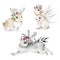 Watercolor set of white rabbit in different poses. Adorable mammal animal. Hare with long ears and short tail