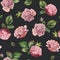 Watercolor shabby seamless pattern. Pink rose with leaves on dark background