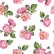 Watercolor shabby seamless pattern. Pink rose with leaves on white background