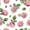 Watercolor shabby seamless pattern. Pink rose with leaves on white background