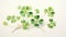 Watercolor Shamrock Clipart for St. Patrick's Day