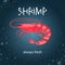 Watercolor shrimp vector illustration.
