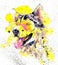 Watercolor siberian husky dog in glasses and yellow splashes