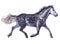 Watercolor single horse animal isolated