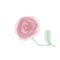 Watercolor Single Pink Rose Flower