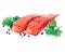 Watercolor single salmon fish isolated on a white background illustration