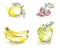 Watercolor sketch of isolated fruits - lemon, cherry, banana, green apple.