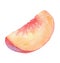 Watercolor slice of peach fruit isolate on white background