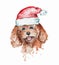 Watercolor smiling redhead poodle dog portrait in a red Santa`s cap