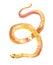 Watercolor snake illustration, yellow python, child print, cartoon reptile