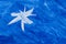 Watercolor snowflake on blue
