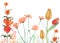 Watercolor Spring colorful flowers growing illustration