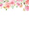 Watercolor Spring floral header with hand painted blush pink roses and gold leaves on white background.
