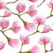 Watercolor spring seamless pattern with blooming magnolia tree isolated on white background.