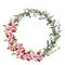 Watercolor spring wreath with apple flowers. Hand painted border with willow, tree branch with leaves isolated on white