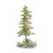 Watercolor spruce tree with grass isolated on a white background