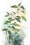 Watercolor Star Jasmine Painting: Simple and Minimalistic Style .