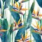 Watercolor strelitzia pattern