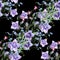 Watercolor stripe meadow bellflowers on black background. Seamless pattern for design.