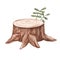 Watercolor stump on a white background. Childish cute illustration. Nature, forest, jungle.