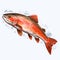 Watercolor Style Clipart Of Orange Trout - Free Brushwork Design
